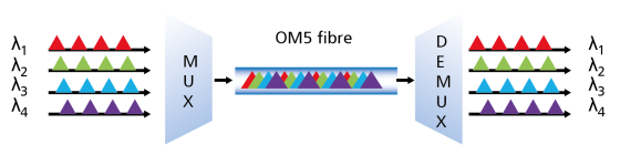 OM5